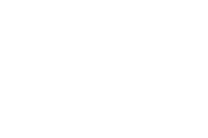 WhiteLion Tecnology